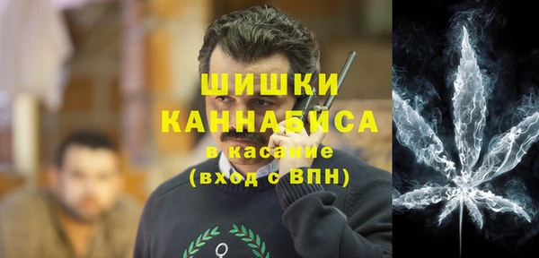 стафф Гусев
