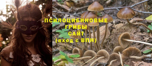 гидропоника Ельня