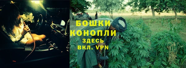 гидропоника Ельня